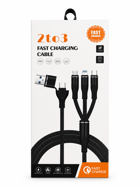 2-3 Fast Charger